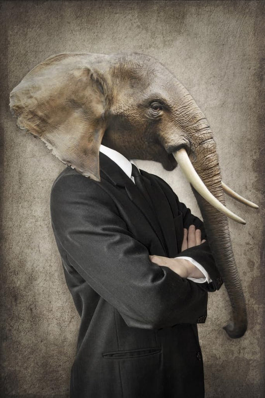 Elephant In Business Suit Head Wearing Human Clothes Funny Parody Animal Art Photo Cool Wall Decor Art Print Poster 12x18