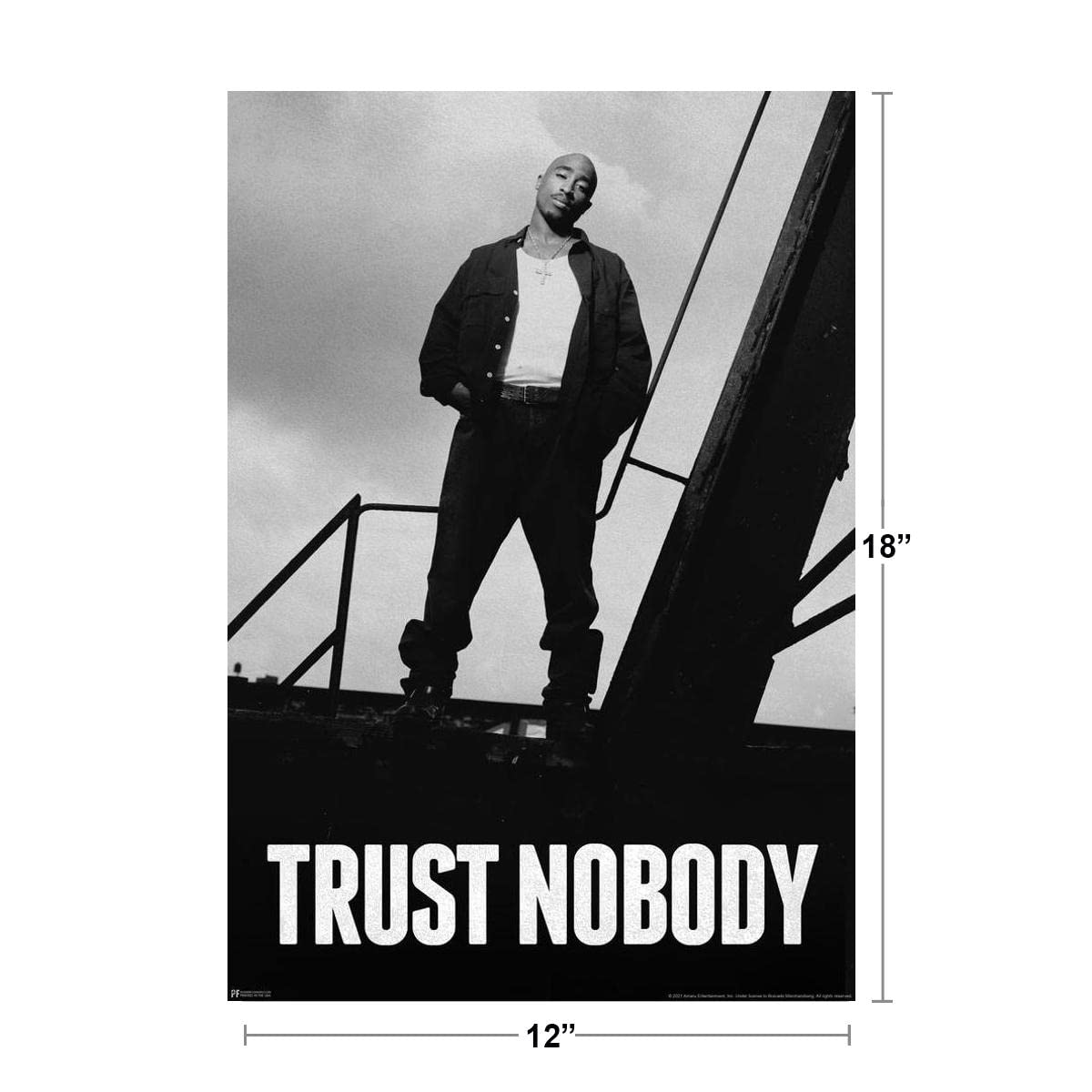 Tupac Posters 2Pac Poster Trust Nobody Tupac Quote 90s Hip Hop Rapper Posters For Room Aesthetic Mid 90s 2Pac Memorabilia Rap Posters Music Merchandise Merch Cool Wall Decor Art Print Poster 12x18