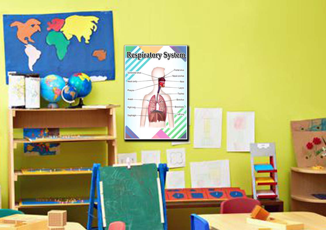 JMM Industries Respiratory System Poster Quote Motivational Educational Inspirational School Elementary Homeschool 12-Inches by 18-Inches Print Wall Art CAP00124