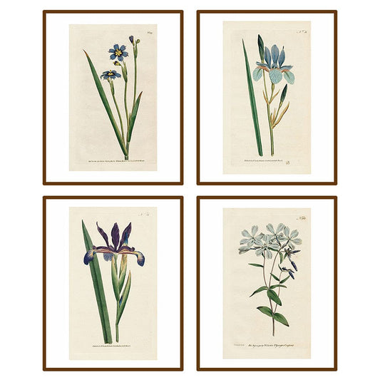 heshengzaixian Vintage Blue Flower Canvas Wall Art Print,Retro Floral Botanical Plant Decor Picture Poster, Boho Farmhouse Rustic Artwork for Home Office, Set of 4-8x10 UNFRAMED