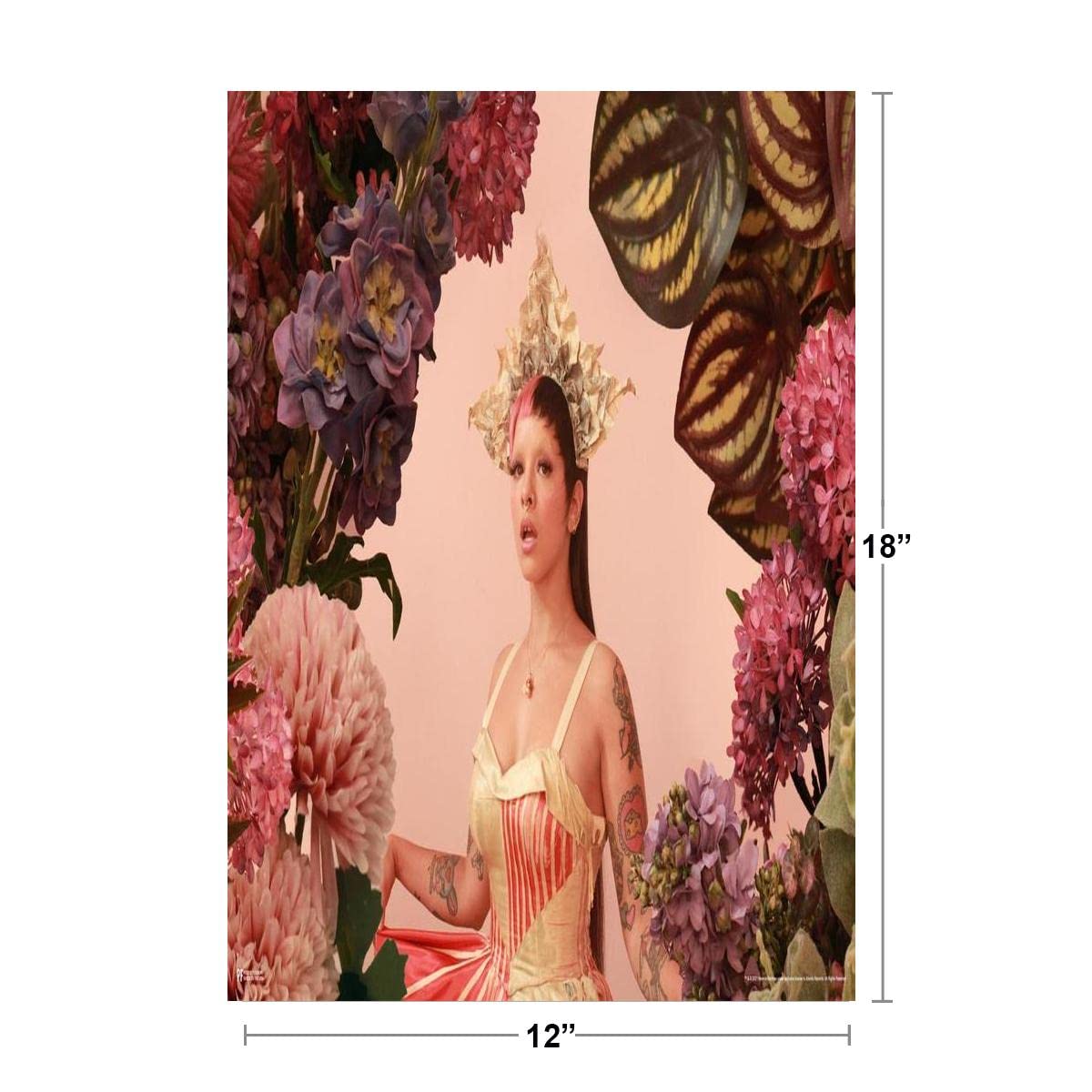 Melanie Martinez Poster Flower Crown Photo MM3 Crybaby Detention K12 Album Art Music Songs Merch Merchandise Soap Pacify Her Dollhouse Aesthetic Cool Wall Decor Art Print Poster 12x18
