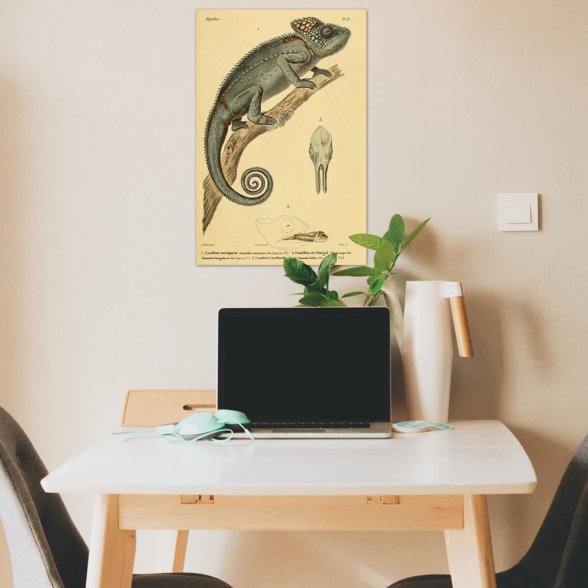 Meishe Art Poster Print Chameleon Reptiles Vintage Illustration Animal Lizard Natural History Scientific Wildlife Drawing Classroom Club Home Wall Decor