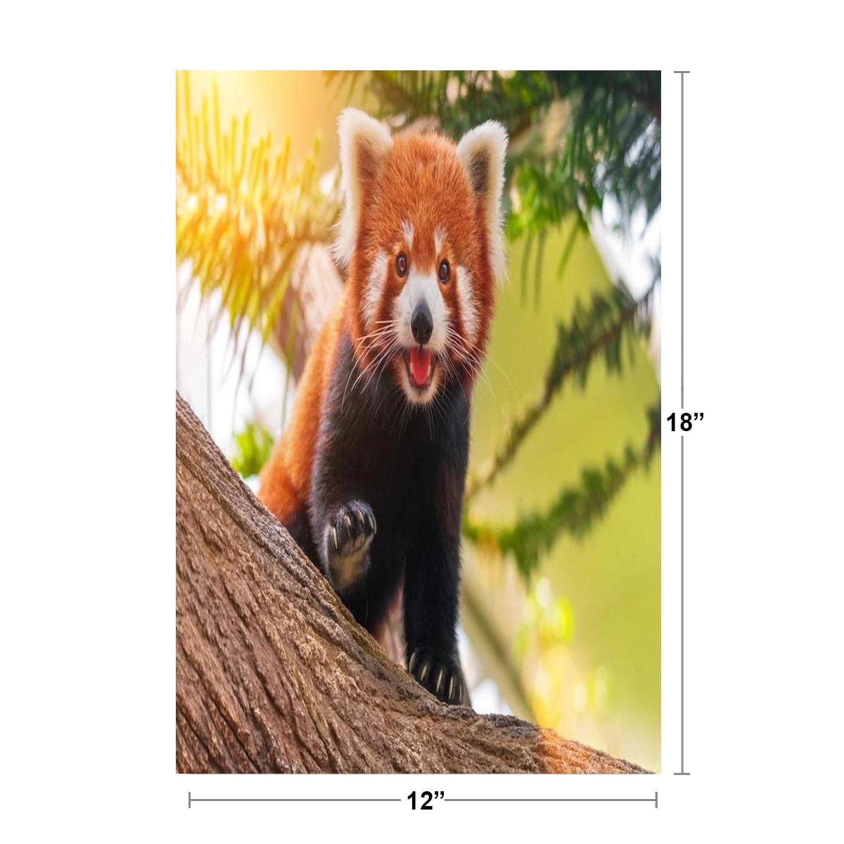 Red Panda Cute Adorable Sun Nature Animal Animal Kids Room Baby Nursery Asia Bear Poster Bear Picture Bear Posters for Wall Bear Print Wall Art Bear Pictures Cool Wall Decor Art Print Poster 12x18
