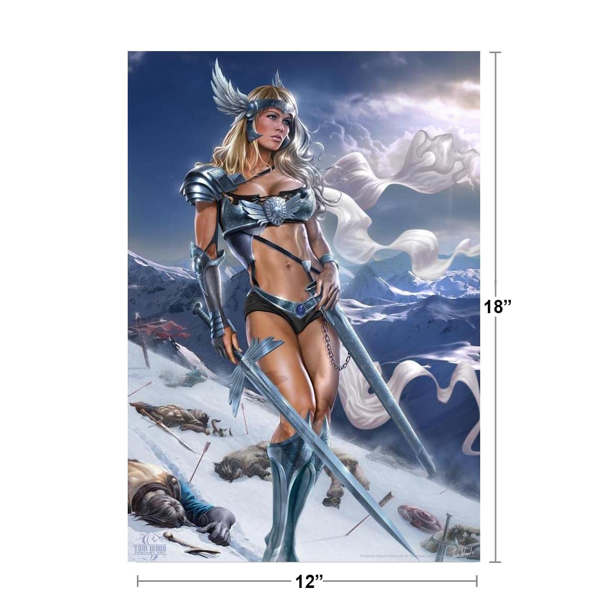 Valkyrie Warrior Woman Tom Wood Fantasy Art Cool Wall Decor Art Print Poster 12x18