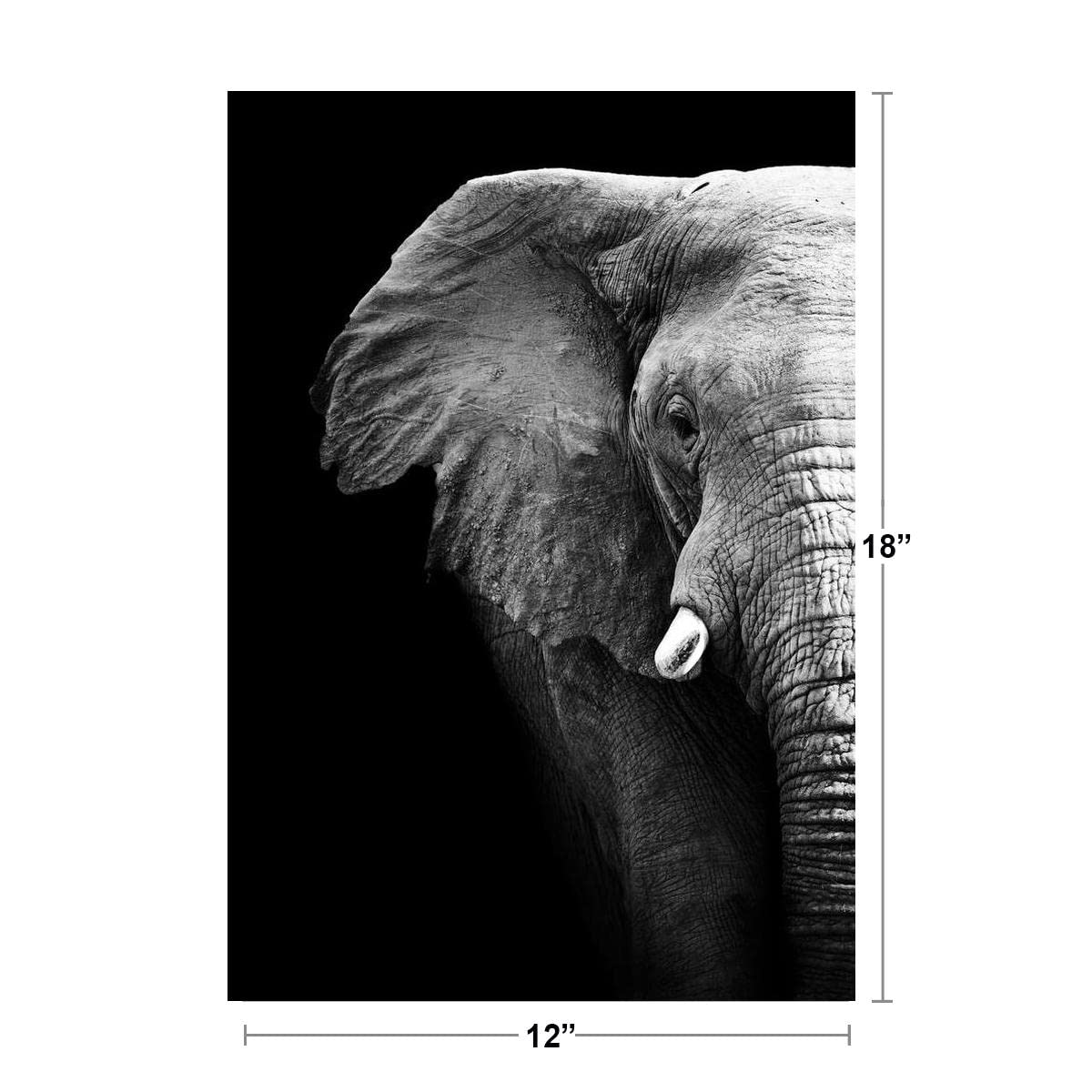 Black and White Elephant Partial Monochrome Art African Elephant Wall Art Elephant Posters For Wall Elephant Art Print Elephants Wall Decor Photo Elephant Tusk Cool Wall Decor Art Print Poster 12x18