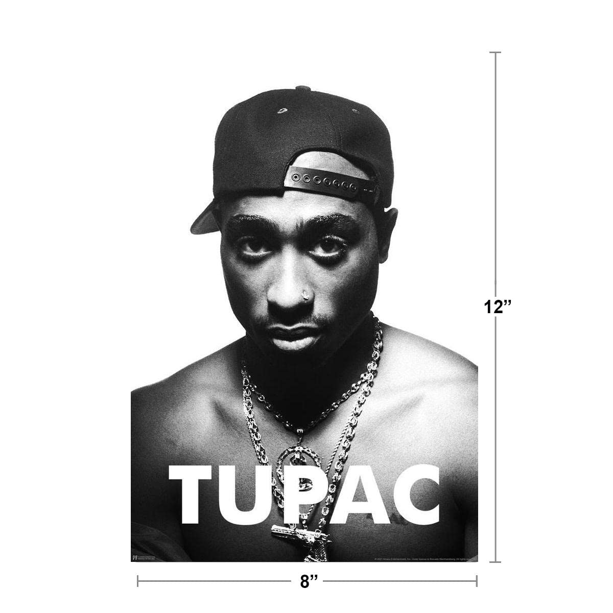 Tupac Posters 2Pac Poster Gold Chains Portrait 90s Hip Hop Rapper Posters For Room Aesthetic Mid 90s 2Pac Memorabilia Rap Posters Music Merchandise Merch Thick Paper Sign Print Picture 8x12