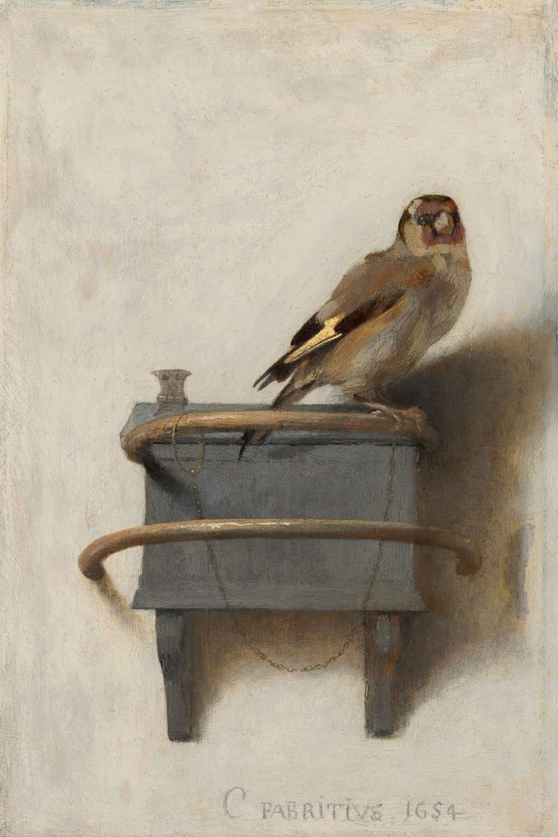 The Goldfinch Bird Animal Wall Art - Carel Fabritus Goldfinch Posters & Print Wall Art, Nature Painting Birds Premium Wall Decor Poster Room Decor Mural Home Decor & Office Décor (5 x 7)