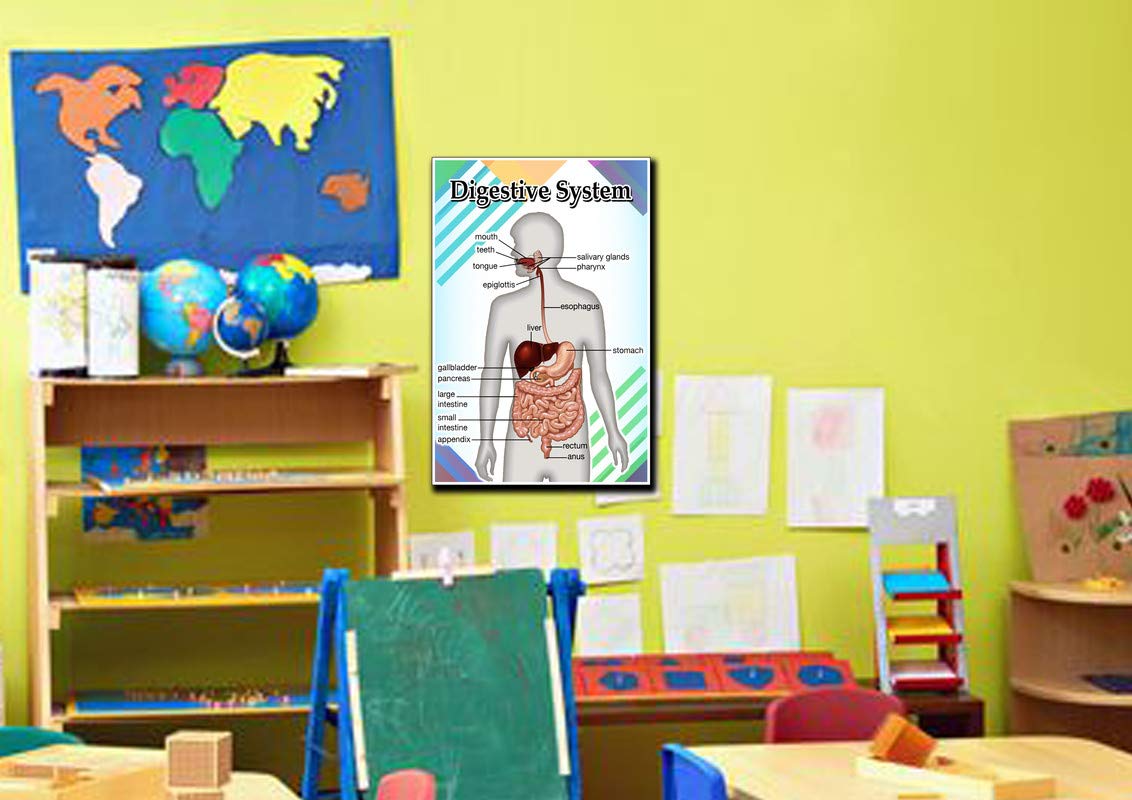 Digestive System Poster Quote Motivational Educational Inspirational School Elementary Homeschool 12-Inches by 18-Inches Print Wall Art CAP00119, Classroom