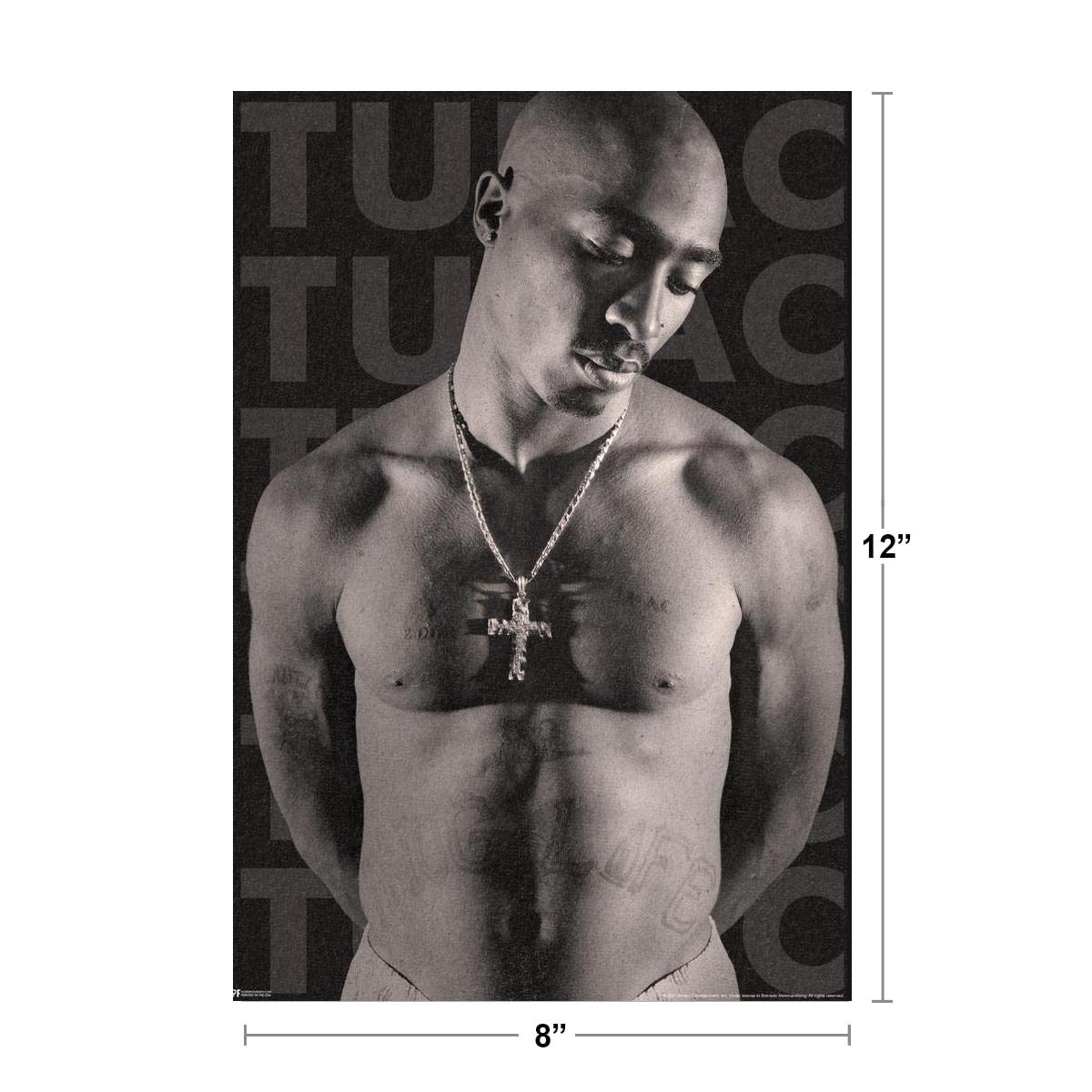 Tupac Posters 2Pac Poster Shirtless Photo with Tattoos 90s Hip Hop Rapper Posters For Room Aesthetic Mid 90s 2Pac Memorabilia Rap Posters Merchandise Merch Thick Paper Sign Print Picture 8x12