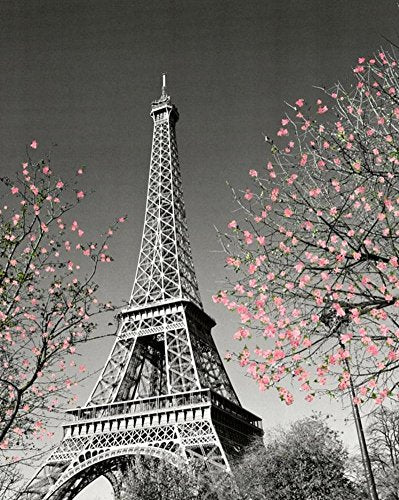 Culturenik Paris Eiffel Tower Blossoms Decorative Photography Travel City Poster Print, Unframed 16x20