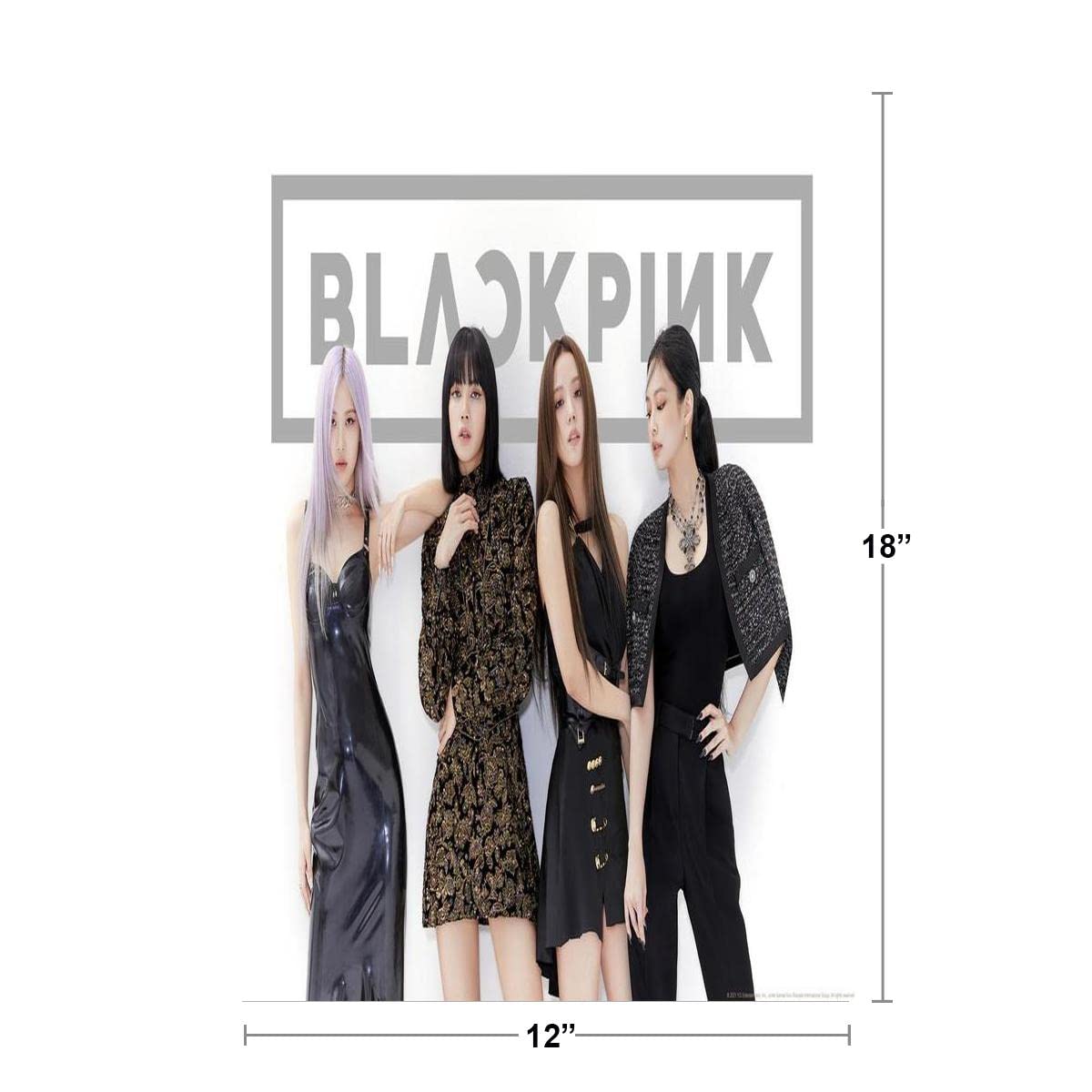 Blackpink Merchandise White Wall Group Photo Rose Lisa Jisoo Jennie Kpop Merch Kill This Love Album Cool Wall Decor Art Print Poster 12x18