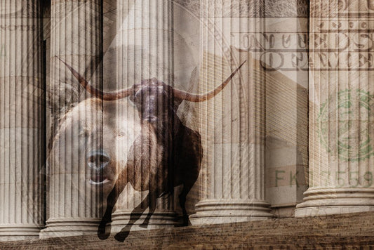 Bull Bear Money Wall Street Stock Exchange Columns Finance Artwork Boardroom Investor Investing Market Photo Photograph Cool Wall Decor Art Print Poster 18x12