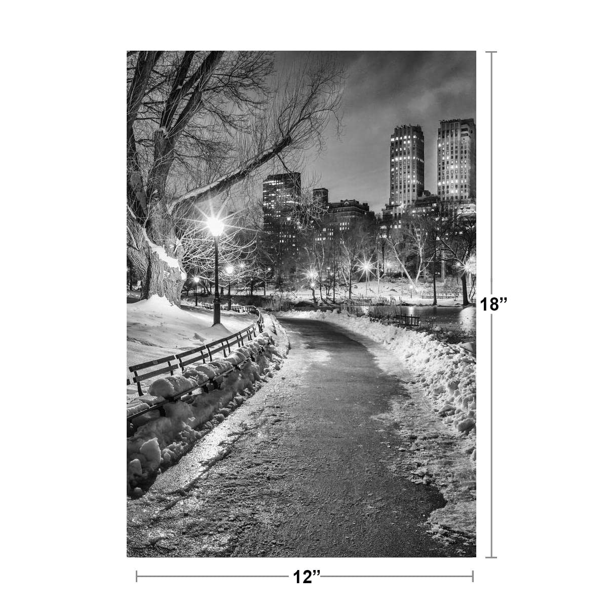 New York City Central Park Wintery Path B&W Photo Photograph Cool Wall Decor Art Print Poster 12x18