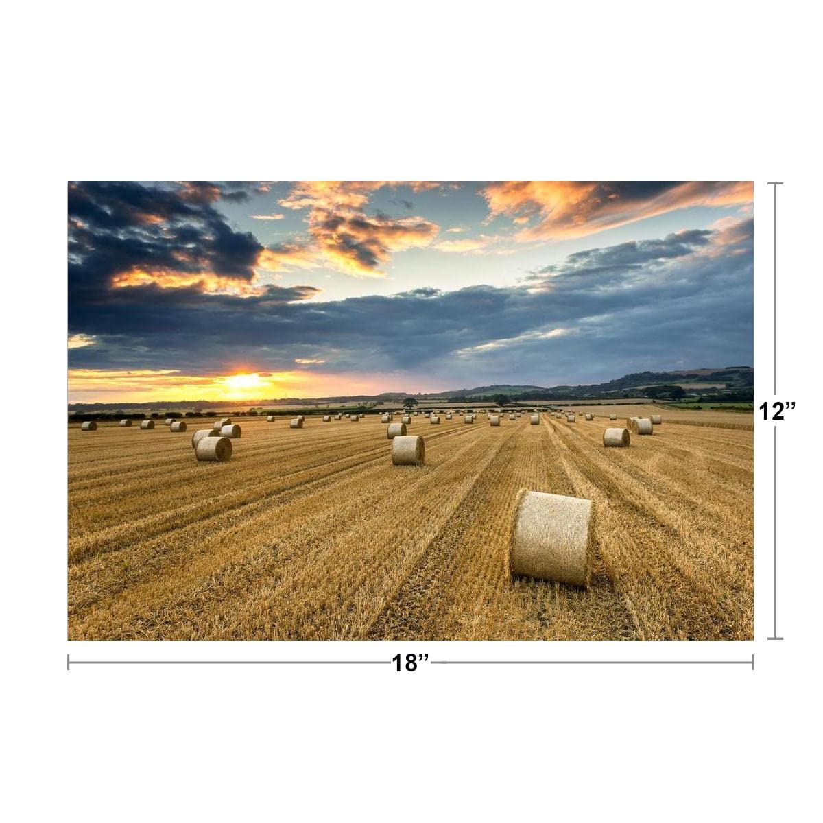 Farmers Field Full of Hay Bales at Sunset Roseberry Topping Photo Photograph Cool Wall Decor Art Print Poster 18x12