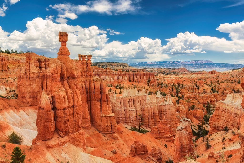 Incredible Bryce Canyon National Park Utah Photo Photograph Cool Wall Decor Art Print Poster 18x12