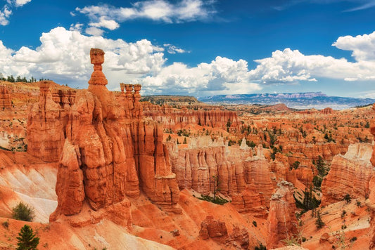 Incredible Bryce Canyon National Park Utah Photo Photograph Cool Wall Decor Art Print Poster 18x12