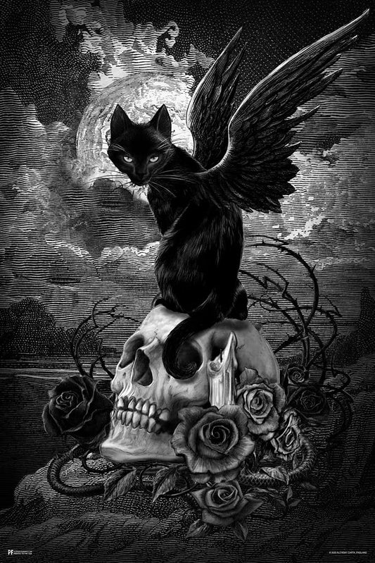 Alchemy Nine Lives of Poe Winged Black Cat On Skull Edgar Allen Poe Witchy Room Decor Gothic Decor Goth Room Decor Witchcraft Horror Wiccan Occult Decorations Cool Wall Decor Art Print Poster 12x18