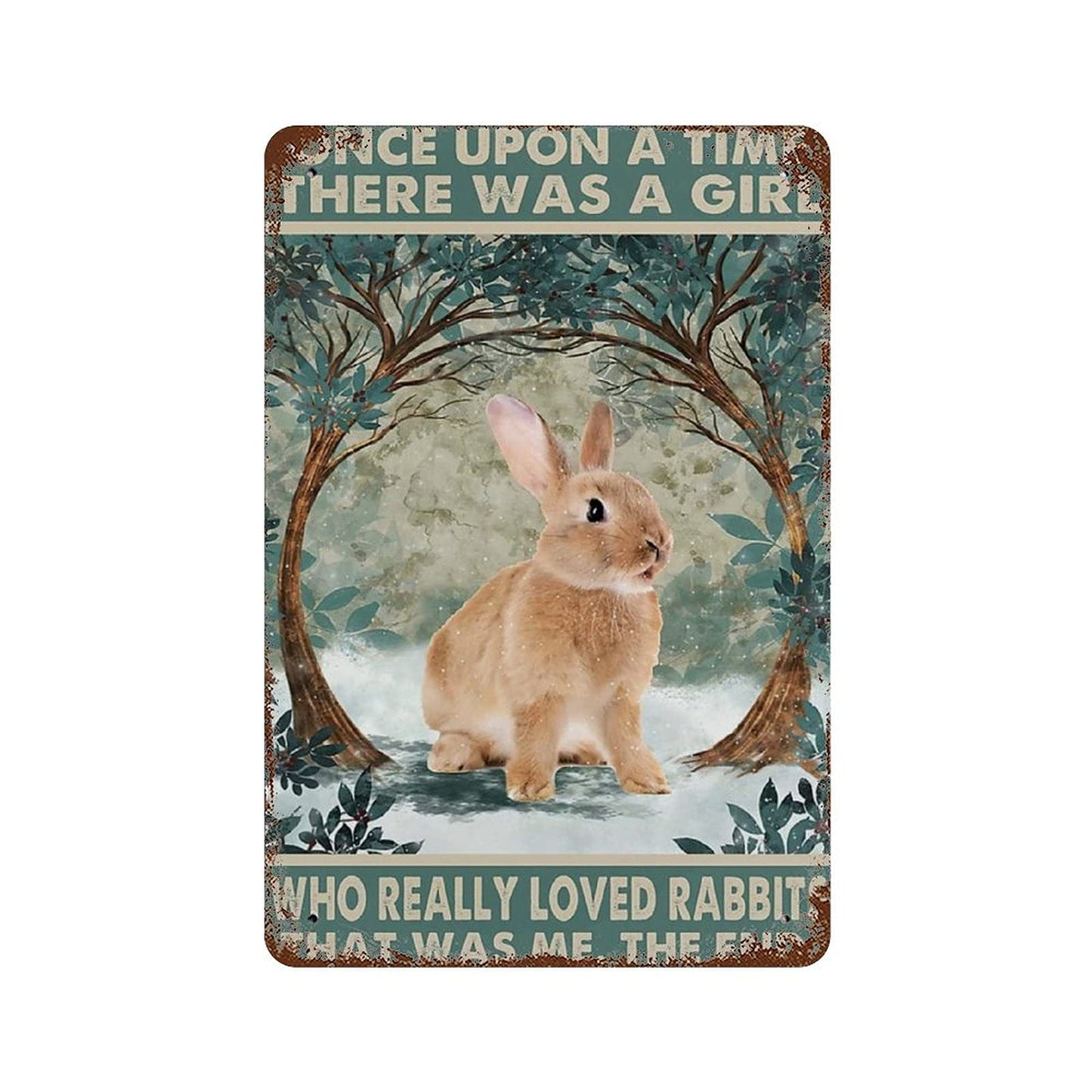 Rabbit Once Upon A Time Vertical Plaque Poster Rabbits Plaque Poster Metal Print Tin Sign Funny Rabbit Plaque Poster Bunny Rabbit Decor Girl Who Really Loved Rabbits Plaque Poster 8x5.5 Inch