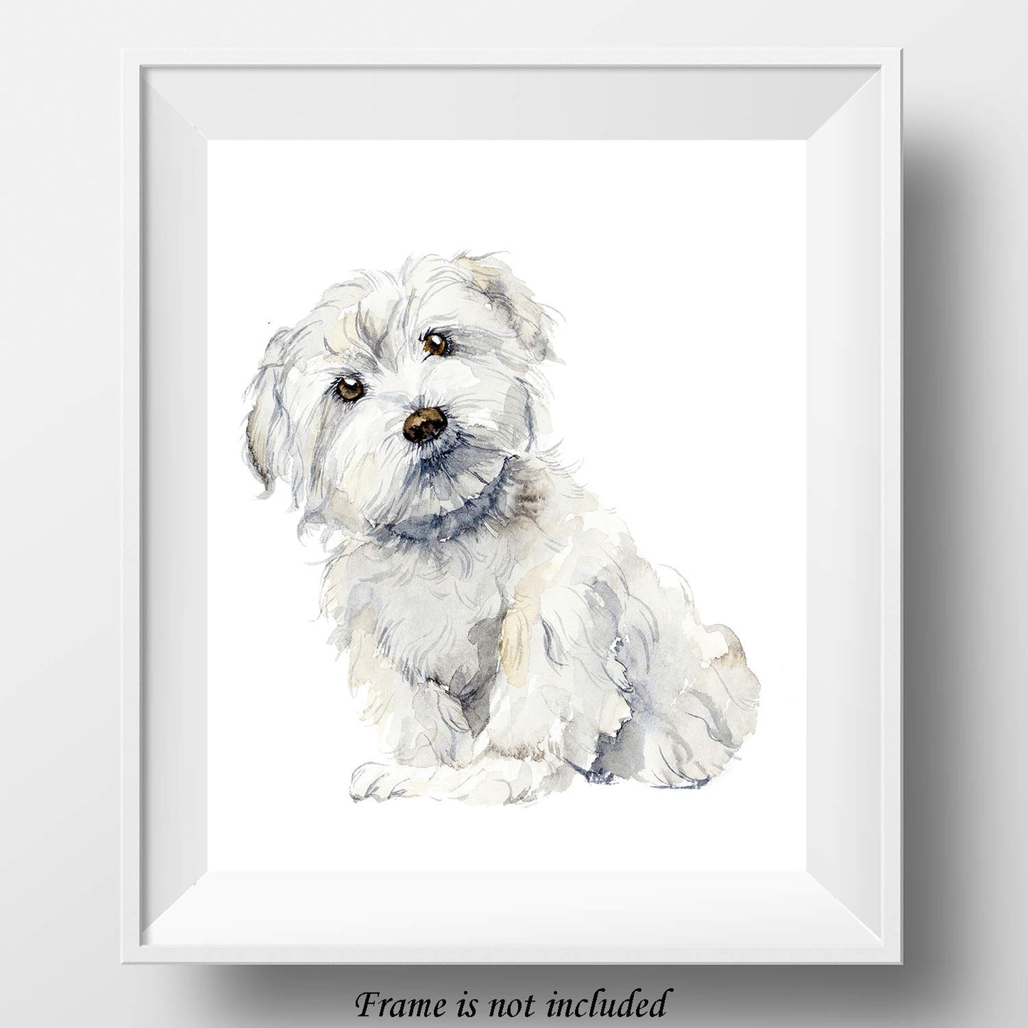 7Dots Art. Cute Dogs. Watercolor Art Print, poster 8"x10" on Fine Art thick Watercolor paper for living room, bedroom, bathroom. Dogs Wall art decor. (Maltese)