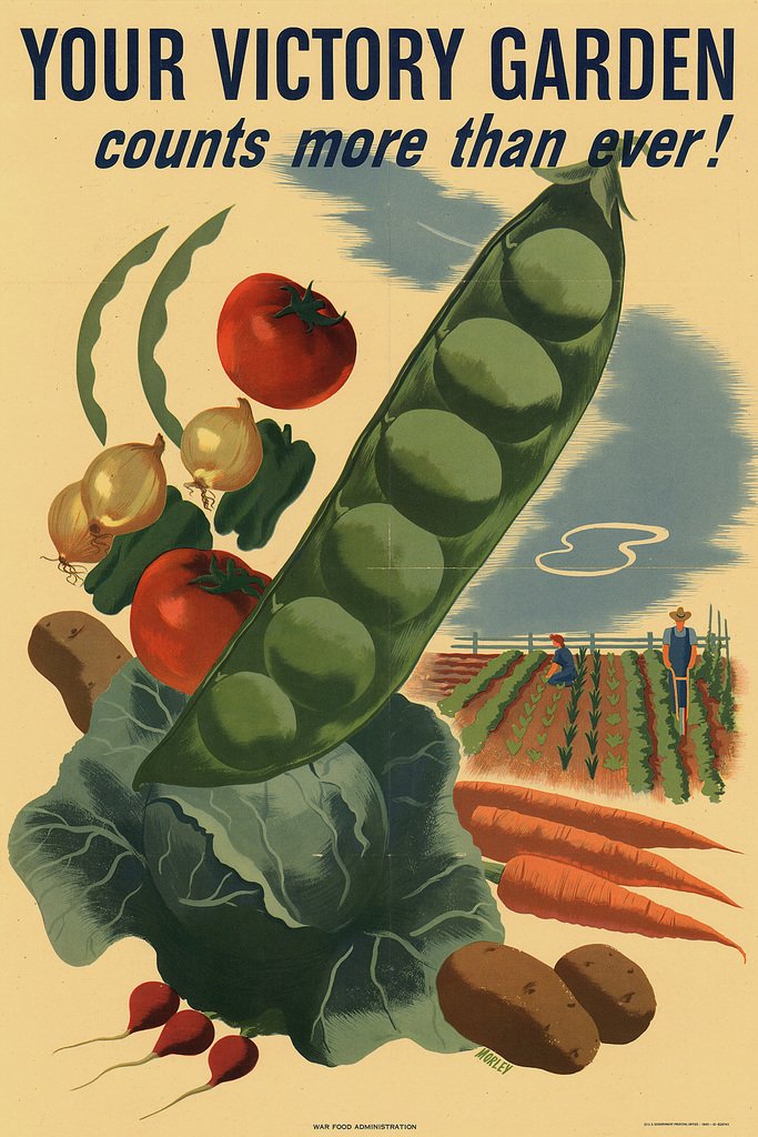 Your Victory Garden Counts WPA War Propaganda Cool Wall Decor Art Print Poster 12x18