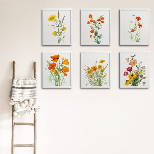 Vintage California Poppy Floral Prints (6 PRINTS) | Modern Wall Art Victorian Illustration UNFRAMED Modern Decorations | Antique Decor Boho Abstract Set Aesthetic | Living Room Bedroom Bathroom Office Kitchen Large Poster | Boy Girls Teen Kids Baby | Mary