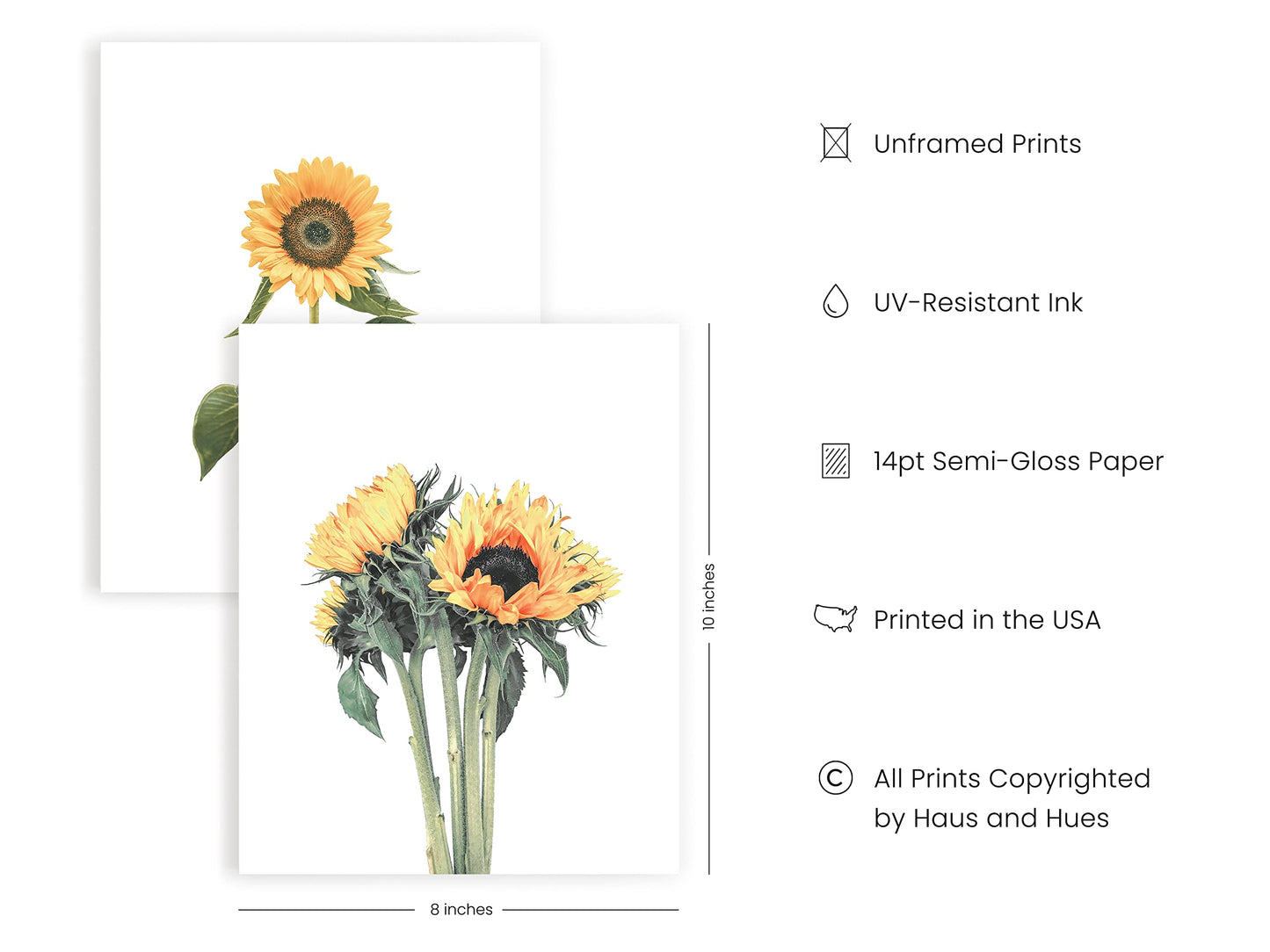 HAUS AND HUES Sunflower Wall Decor and Sunflower Posters Set of 4 Sun Flower Wall Art | Sunflower Paintings for Wall Sunflower Wall Art Sunflower Photos Sunflower Decor (8" x 10", UNFRAMED)