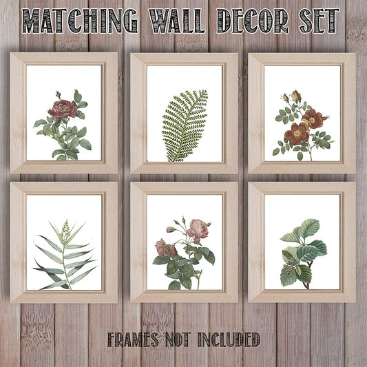 Botanicals & Roses - Botanical Home and Gardening Decoration, Garden Flower Poster, Cottage Core Room Decor, Classic Plant Poster Gift Idea, Set of 6 Prints - 8x10 Unframed Art Prints Posters