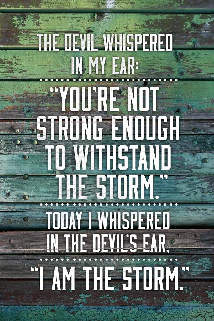 I Am The Storm Quote Wood Style Motivational Inspirational Teamwork Inspire Quotation Gratitude Positivity Support Motivate Sign Good Vibes Social Work Cool Wall Decor Art Print Poster 12x18