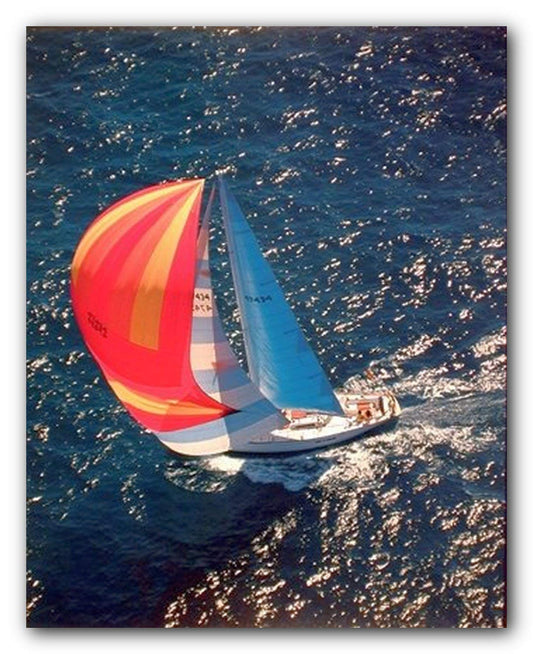 Sailboat Ocean Boating Seascape Scenic Wall Decor Art Print Poster (16x20)
