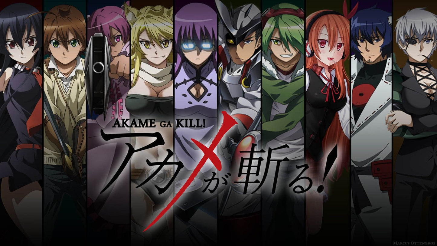 NewBrightBase Akame Ga Kill Anime Fabric Cloth Rolled Wall Poster Print - Size: (43" x 24" / 24" x 13")
