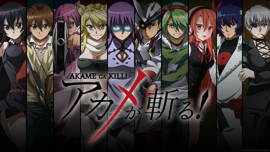 NewBrightBase Akame Ga Kill Anime Fabric Cloth Rolled Wall Poster Print - Size: (43" x 24" / 24" x 13")