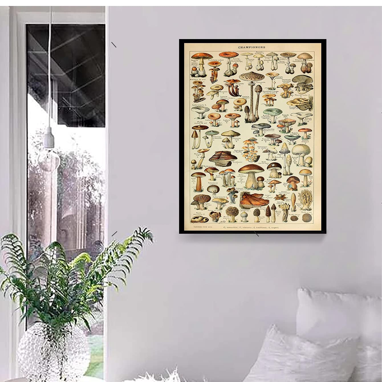 Ohhvvow Vintage French Types of Mushroom 11x14in Canvas Print Posters for home decor Canvas art print (mushroom)