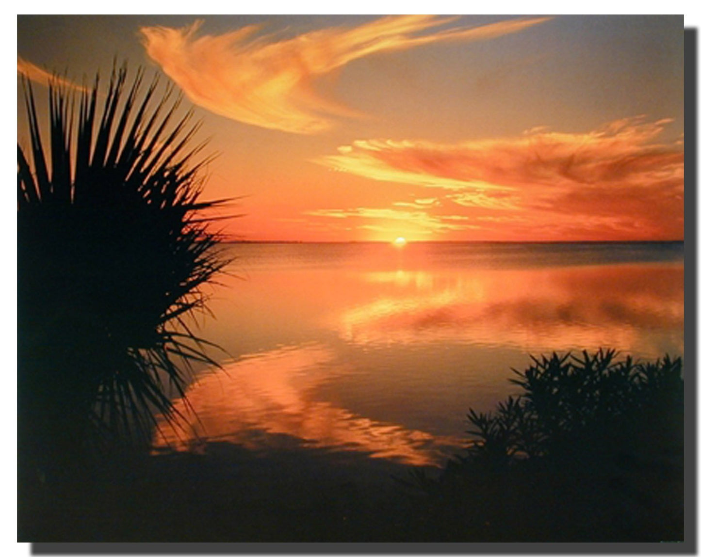 Impact Posters Gallery Nature Ocean Sunset Laguna Beach Madre Texas Scenery Landscape Wall Decor Art Prints Poster (16x20)