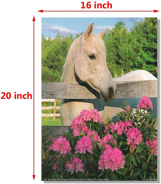 White Morgan Horse with Flowers Mare Wall Decor Art Print Poster (16x20)