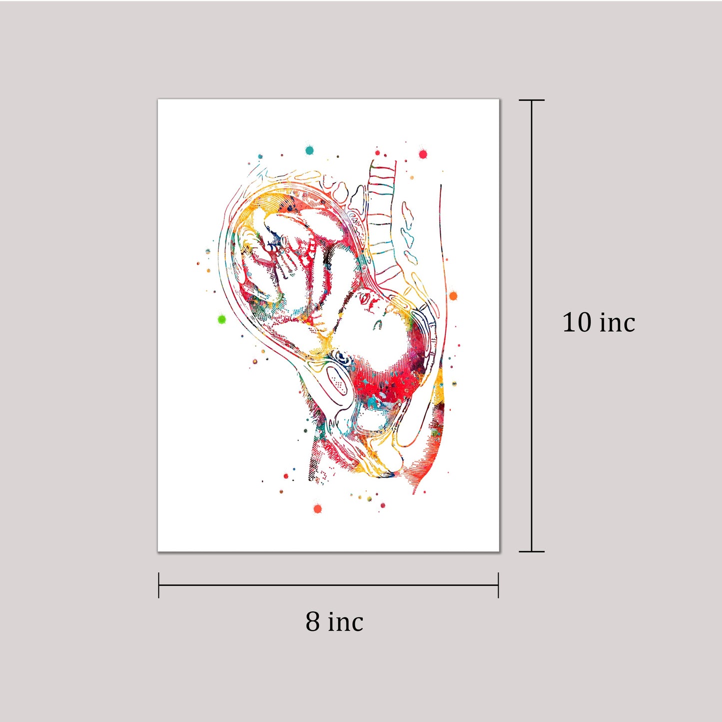 Baby In Womb Watercolor Art Print Maternity Breastfeeding Pregnancy Baby and Mom Pregnant Woman Gynecology Poster Medical Doctor Office Clinic Wall Home Decor Poster Gift 8x10 inc. Unframed Print