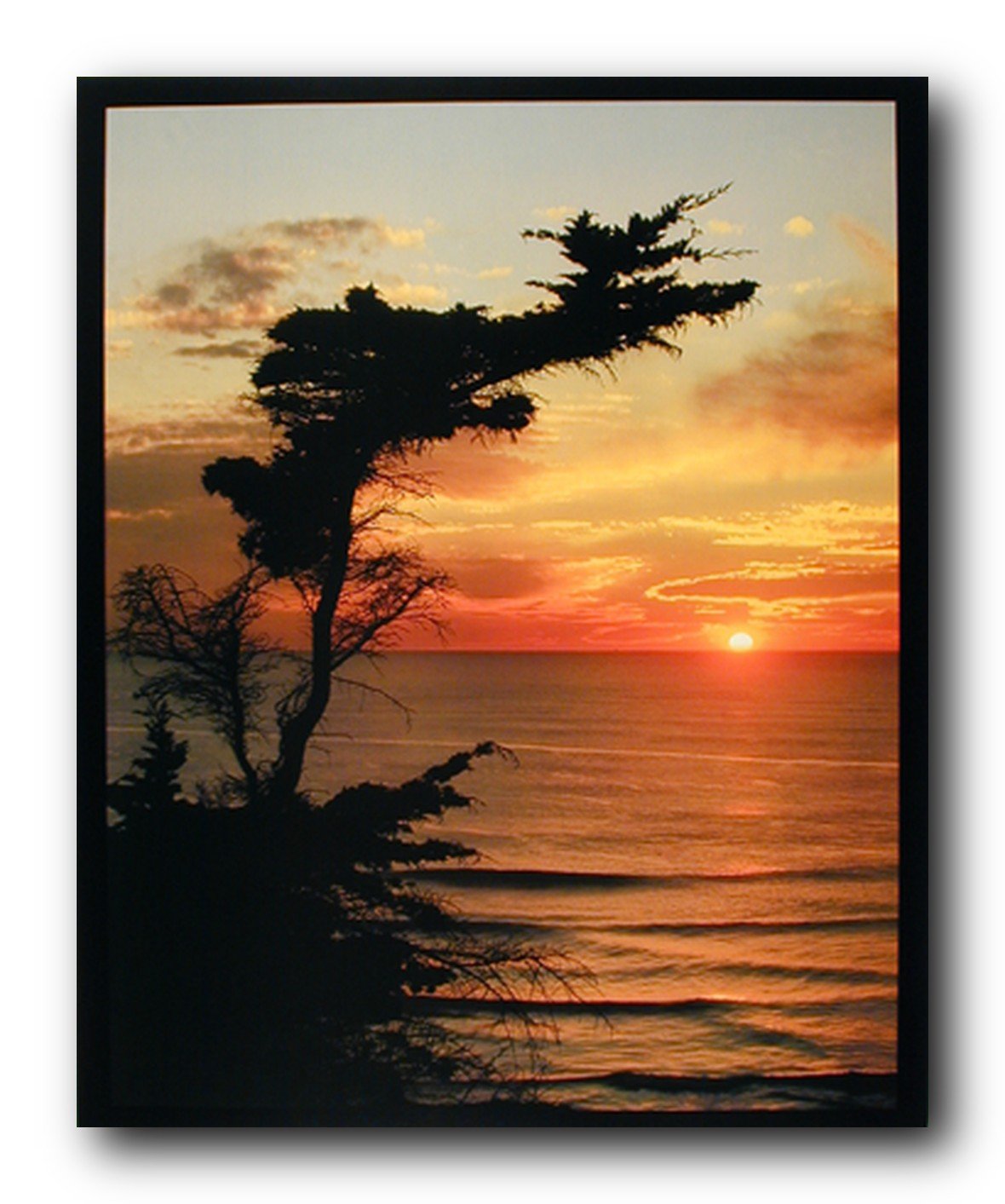 Ocean Landscape Sunrise At the Lone Cypress Point Nature Tree Wall Decor Art Print Poster (16x20)