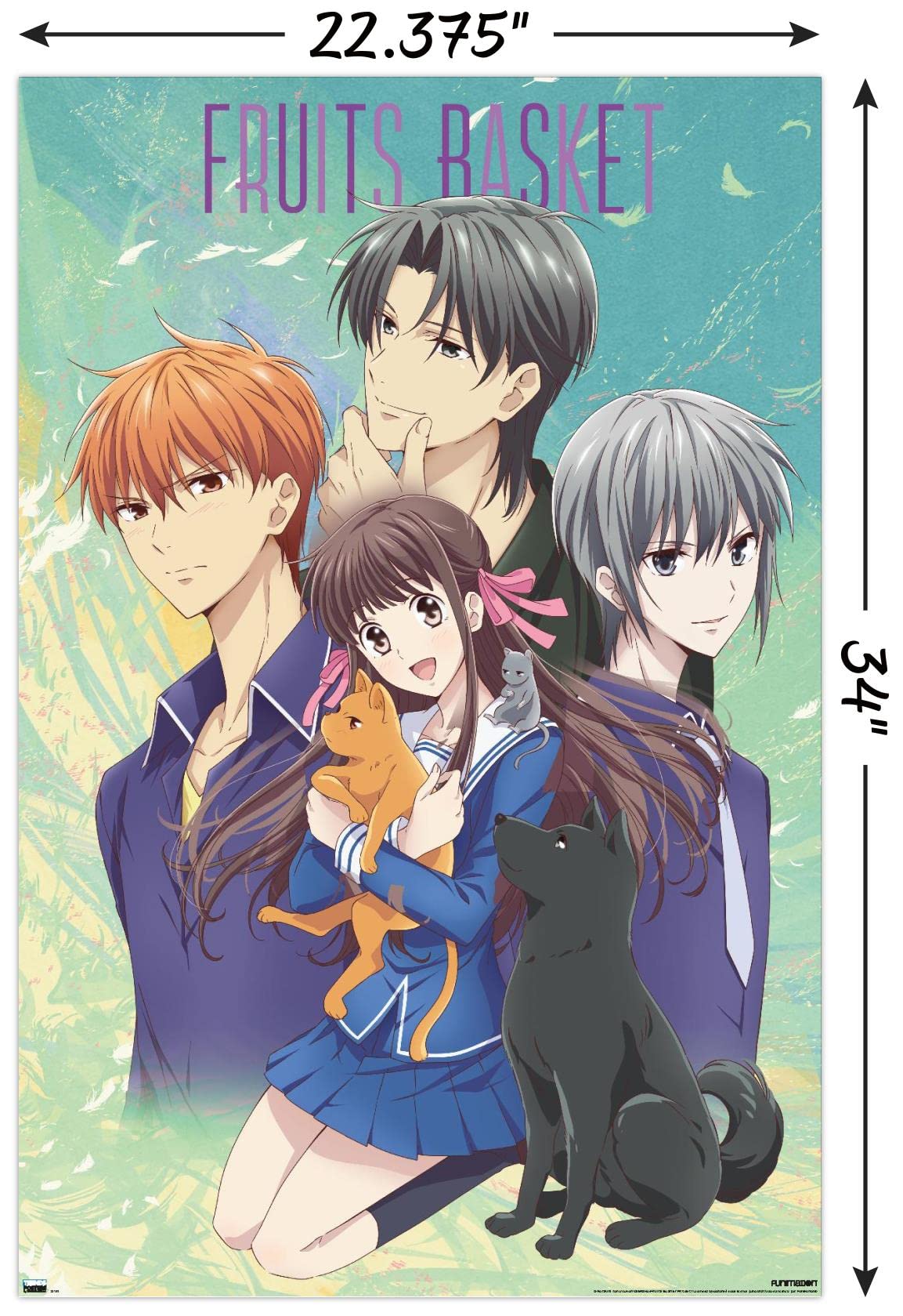 Trends International Fruits Basket - Art Work Wall Poster, 22.375" x 34", Unframed Version