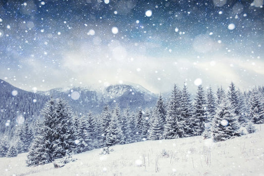 Snowy Winter Night Mountain Forest Starry Sky Pine Trees Photo Cool Wall Decor Art Print Poster 18x12