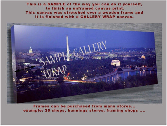 Vintage Raquel Welch Barbarella CANVAS PRINT Art Poster Paintings Oil Painting Original Drawing Photo Wall (8x10inch NO Framed)