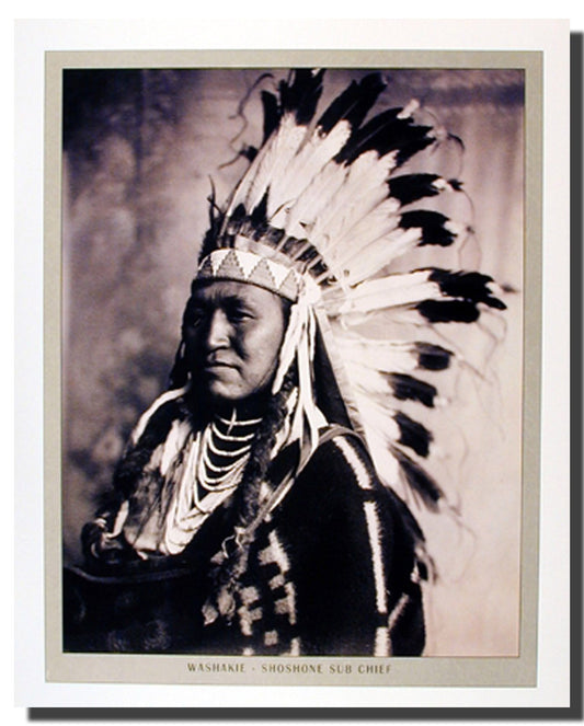 Native American Wall Decor Picture Historical Indian Chief Of Indian Art Print Poster (16x20)