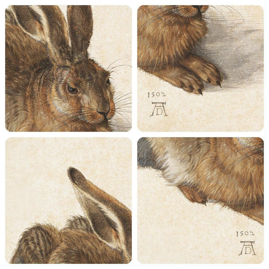 Meishe Art Poster Print Young Hare Rabbit by Albrecht Durer Famous Sketch Drawing Watercolour Painting Reproduction Classic Artwork Home Wall Decor for Living Room Bedroom