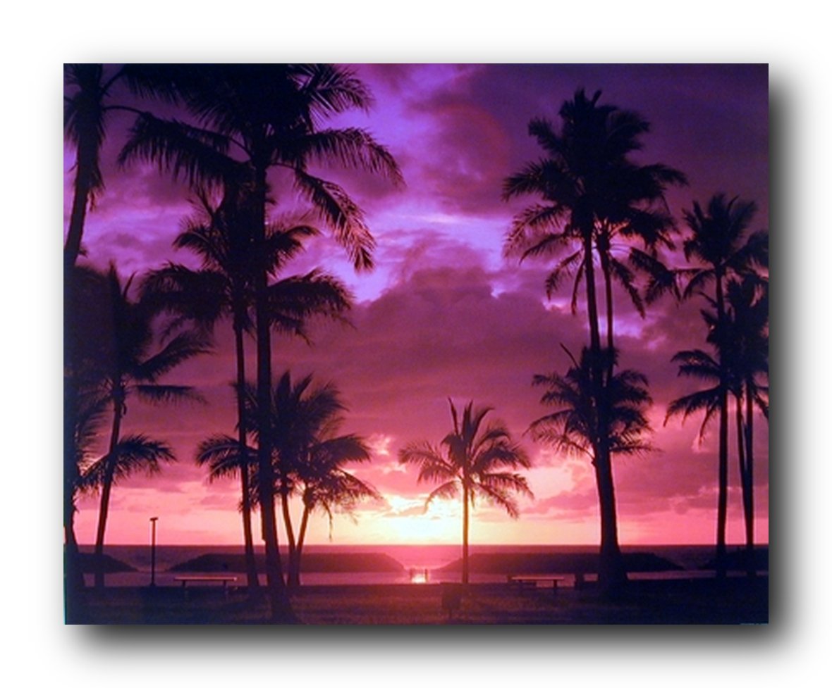 Purple Tropical Sunset Landscape Scenery Wall Decor Art Print Poster (16x20)