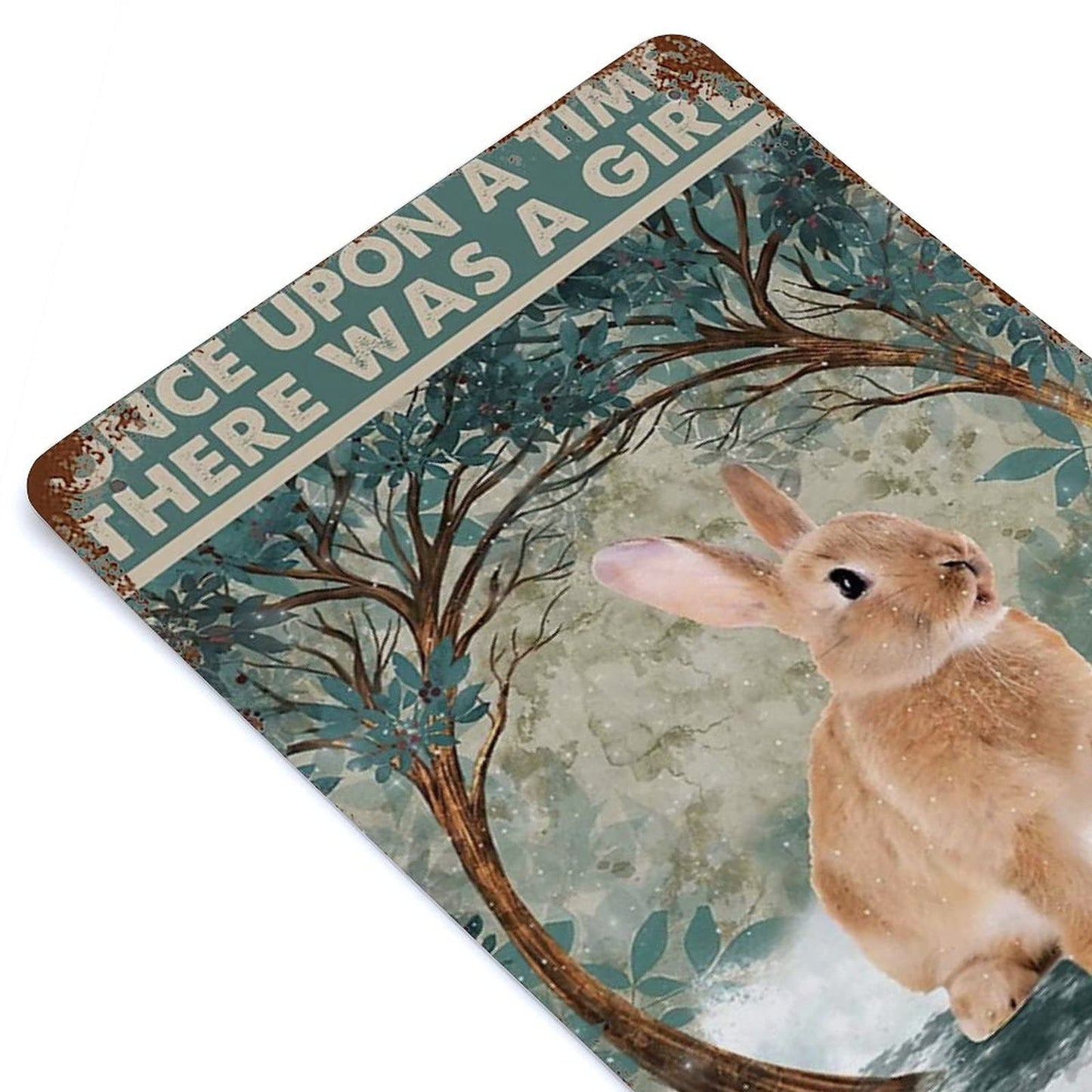 Rabbit Once Upon A Time Vertical Plaque Poster Rabbits Plaque Poster Metal Print Tin Sign Funny Rabbit Plaque Poster Bunny Rabbit Decor Girl Who Really Loved Rabbits Plaque Poster 8x5.5 Inch