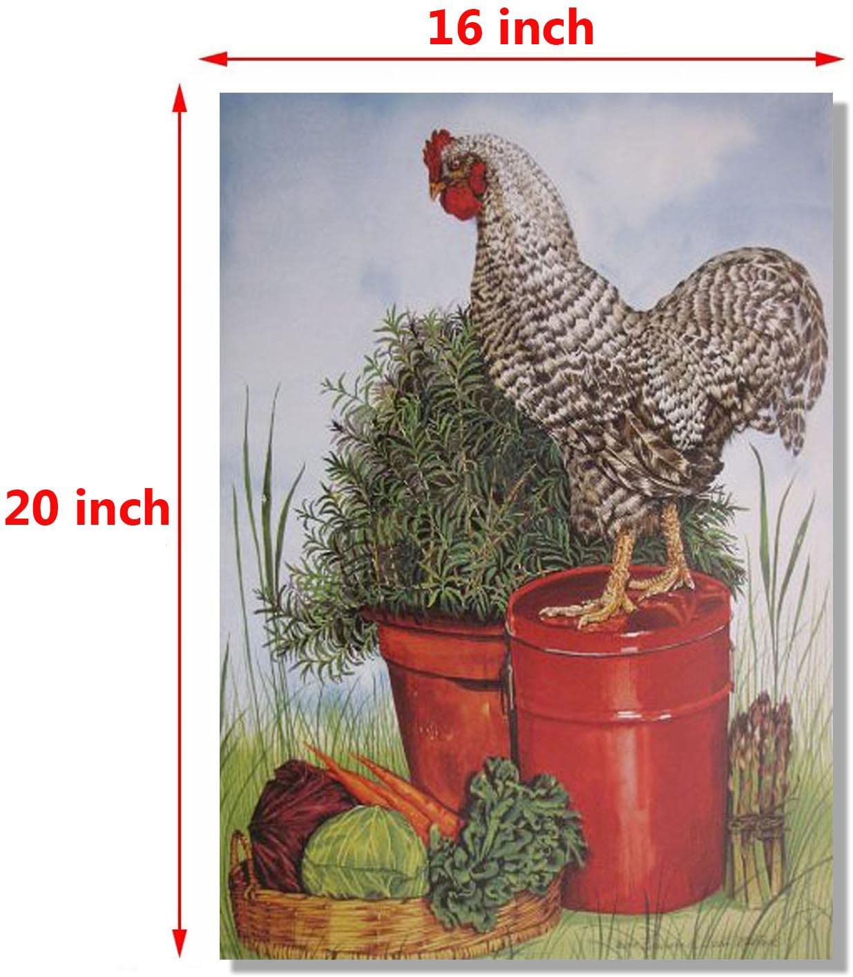 Barred Plymouth Rock Rooster Chicken Wall Decor Picture Art Print Poster (16x20)