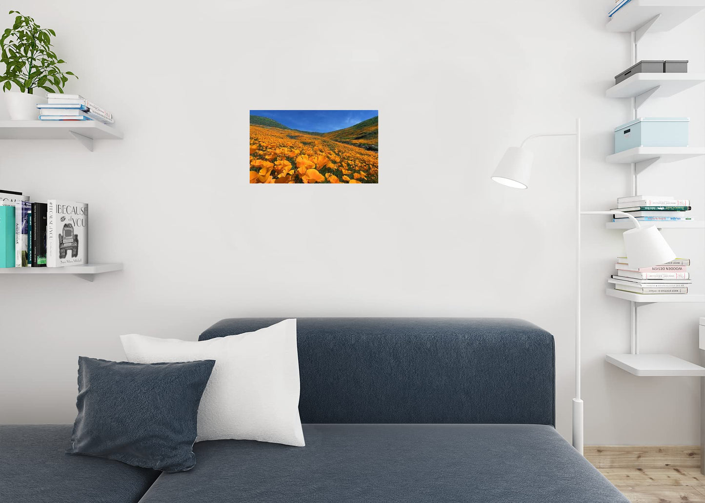 Golden Poppy Blooming Walker Canyon Lake Elsinore Photo Photograph Cool Wall Decor Art Print Poster 18x12