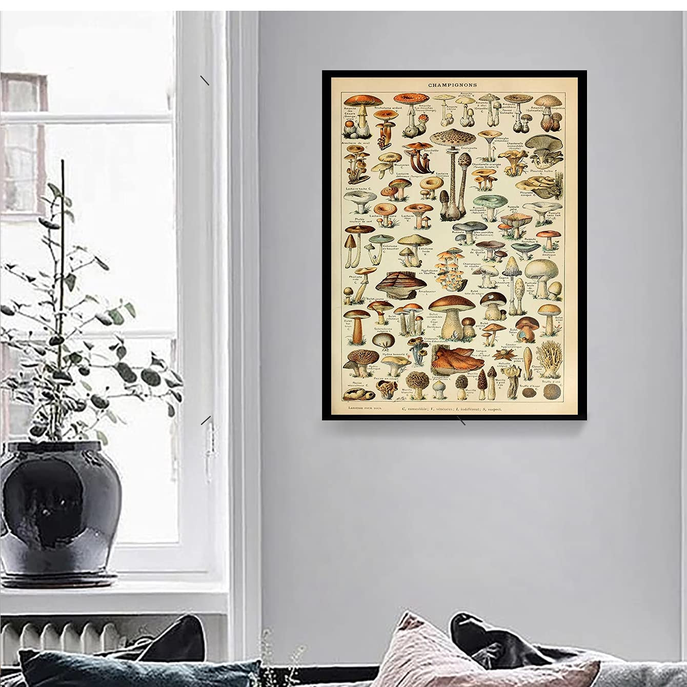 Ohhvvow Vintage French Types of Mushroom 11x14in Canvas Print Posters for home decor Canvas art print (mushroom)