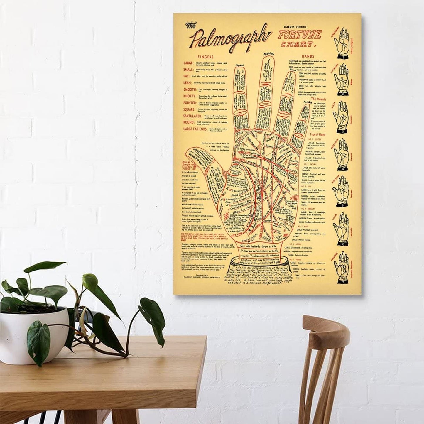 QFART Classic Poster Vintage Palmistry Chart 5 Sizes Fortune Telling Canvas Wall Art Poster Decorative Bedroom Modern Home Print Picture Artworks Posters UnFramed,08x12inch(20x30cm)