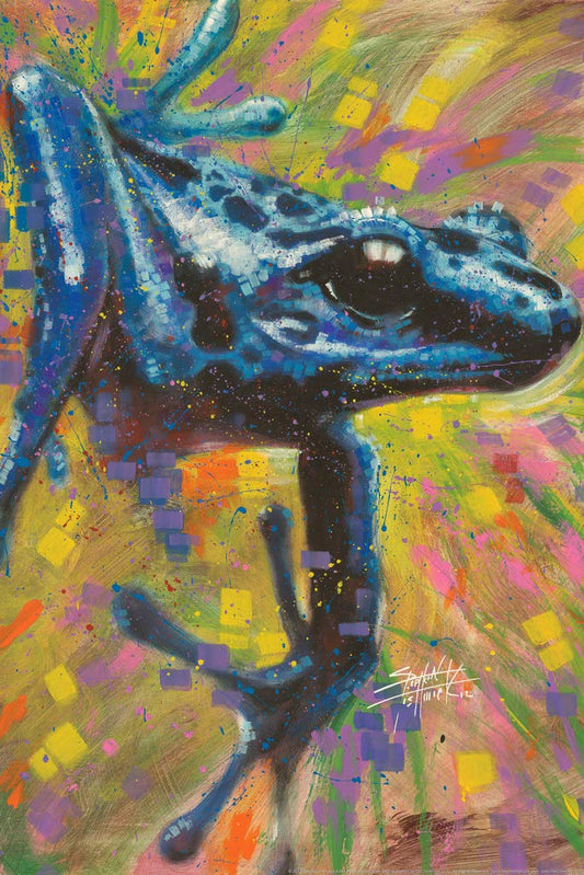 Blue Dart Frog Painting by Stephen Fishwick Art Frog Poster Wood Frog Wall Art Frog Bedroom Decor Frog Artwork For Walls Amphibian Frog Illustration Swamp Cool Wall Decor Art Print Poster 12x18