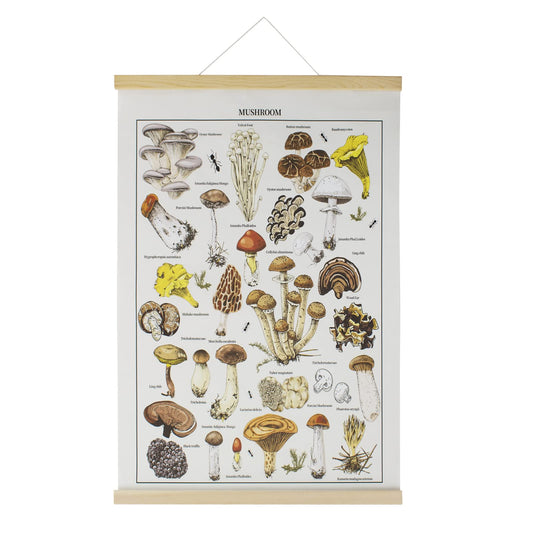 PDCTACST Vintage Mushroom Poster, Aesthetic Fungus Wall Art Prints Cottagecore Style Mushroom Wall Hanging, Rustic Botanical Educational Wall Decor for Living Room Bedroom Office Dining