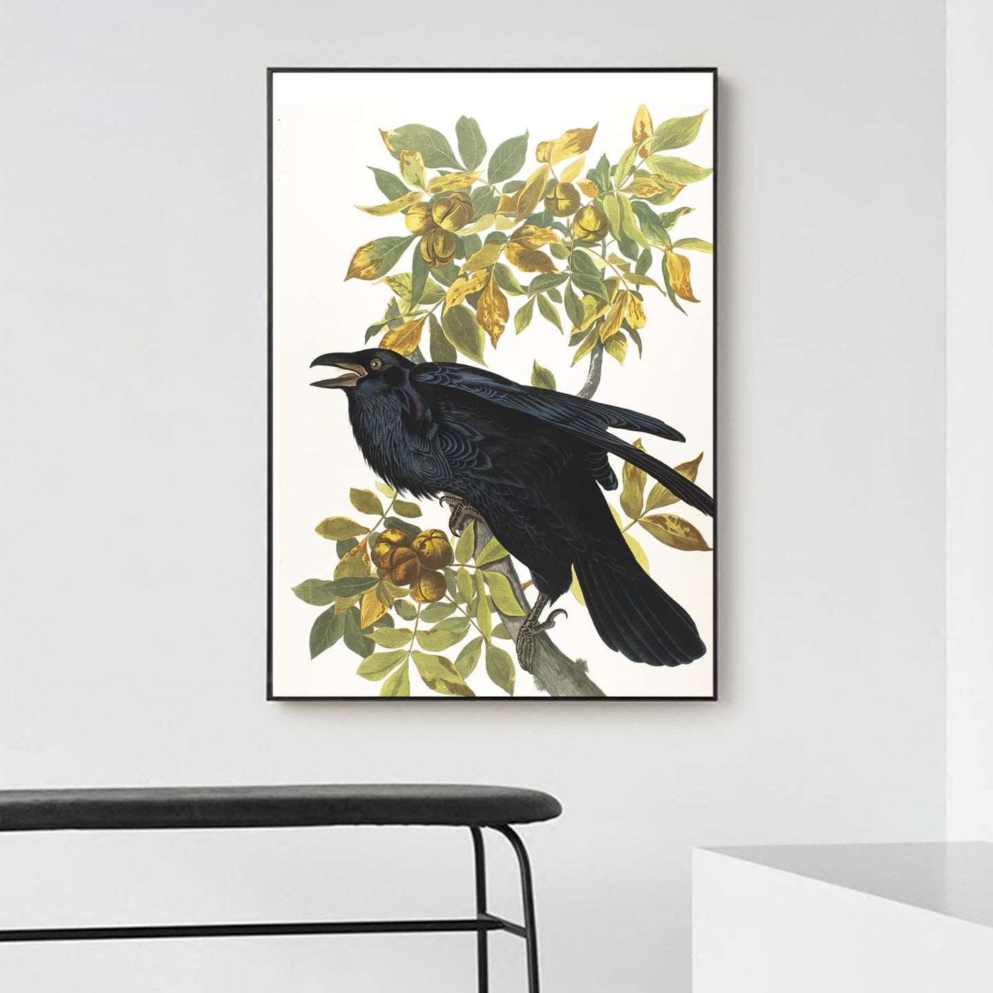 ZZPT John James Audubon Canvas Prints - Raven Poster - Bird Wall Art - Nature Picture Bird Illustrations Animal Wall Decor for Classroom Living Room Bedroom Unframed